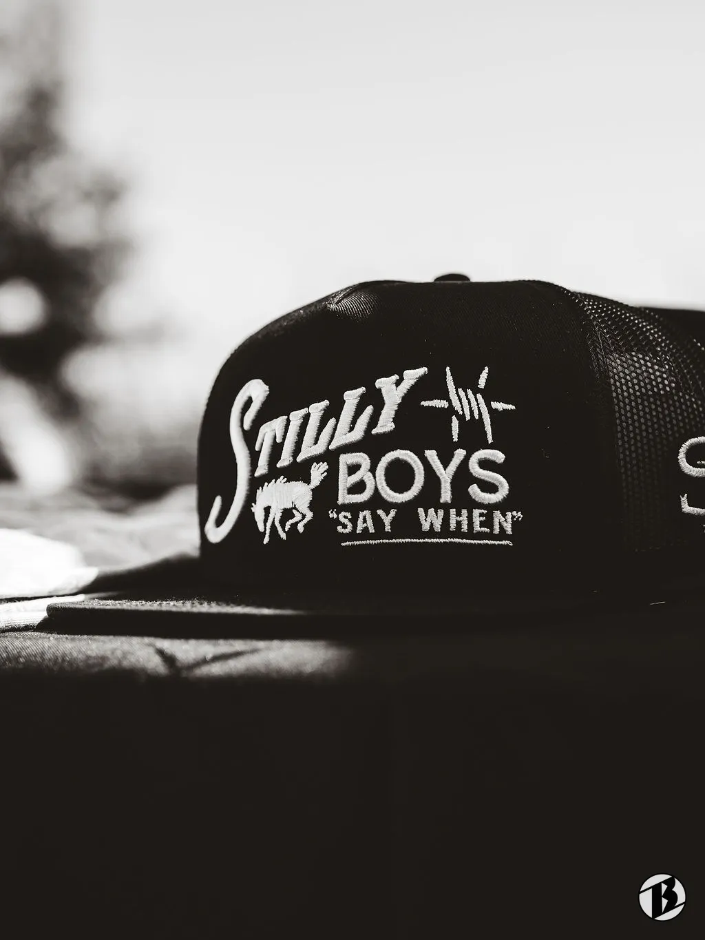 Stilly Boys Meet & Greet